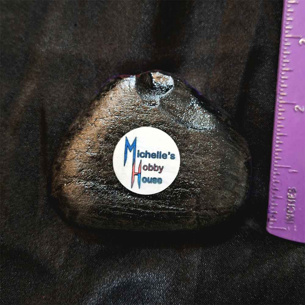 alt="Vertical ruler measuring the back artist brand label on a Hand painted 2 inch smooth round rock with black acrylic painted base coat.">